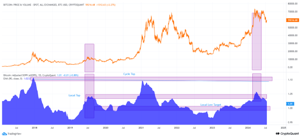 Bitcoin Hasn’t Reached Bull Cycle Top Yet, Quant Explains Why