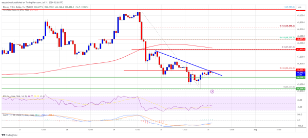 Bitcoin Price Eyes Fresh Gains: Can BTC Climb Again?