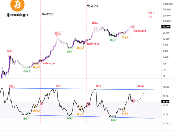 This indicator hints Bitcoin’s next bull cycle phase ‘will be legendary’