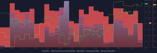 Bitcoin whale activity declines as the price stays near $67k