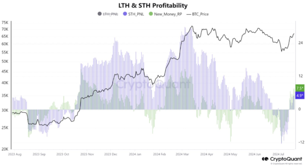 Is Bitcoin’s Bull Run Here to Stay? Insights from the Latest CryptoQuant Report