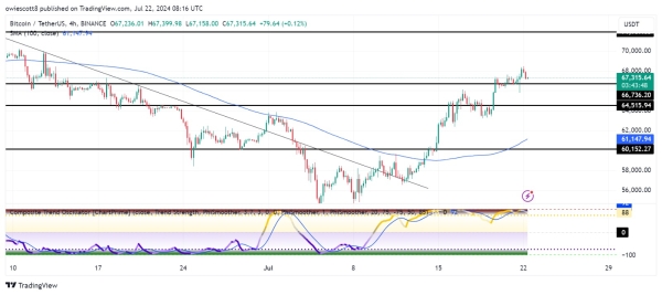 Bitcoin Price Retraces To $66,736: Can Bulls Stage A Recovery?