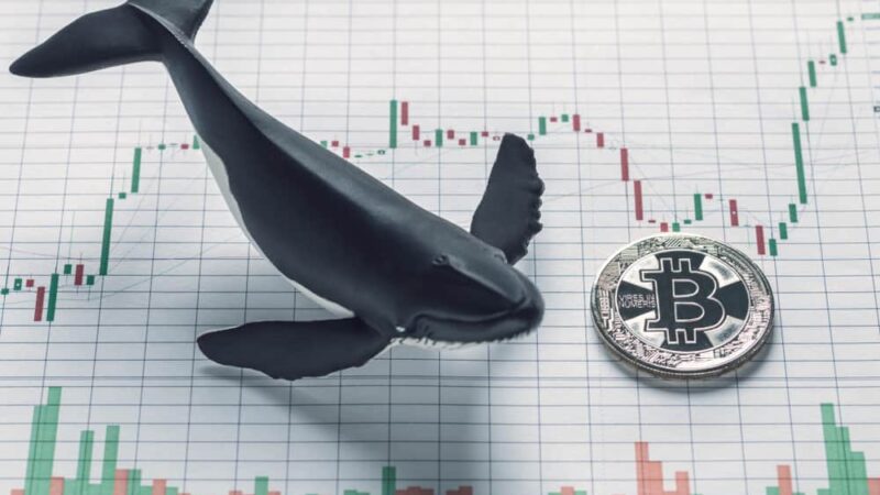 Bitcoin price analysis as whales buy $240 million BTC in a week