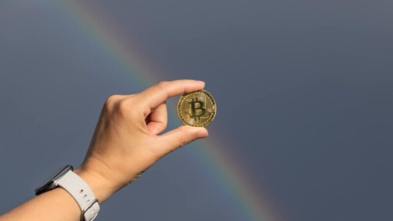 Bitcoin Rainbow chart predicts BTC price for 2025