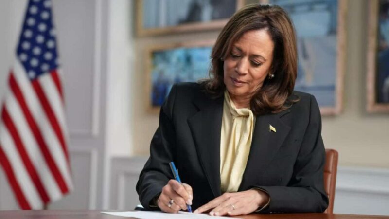 Kamala Harris proposes highest Capital Gains Tax in over 100 years for stocks and crypto