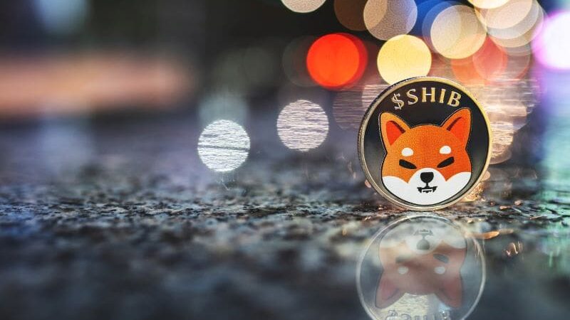 AI predicts SHIB price for August 31, 2024