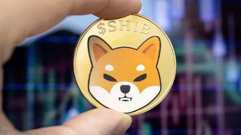 Analyst reveals how high SHIB price can go in the 2025 bull market