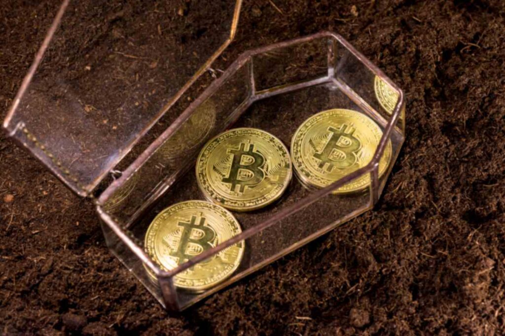 U.S. economist warns Bitcoin is heading for 'a crypto graveyard'