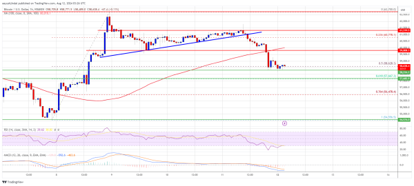 Bitcoin Price Trims Gains: Is the Rally Losing Steam?