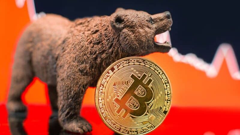 Bitcoin bears ‘about to get murdered,’ says crypto analyst