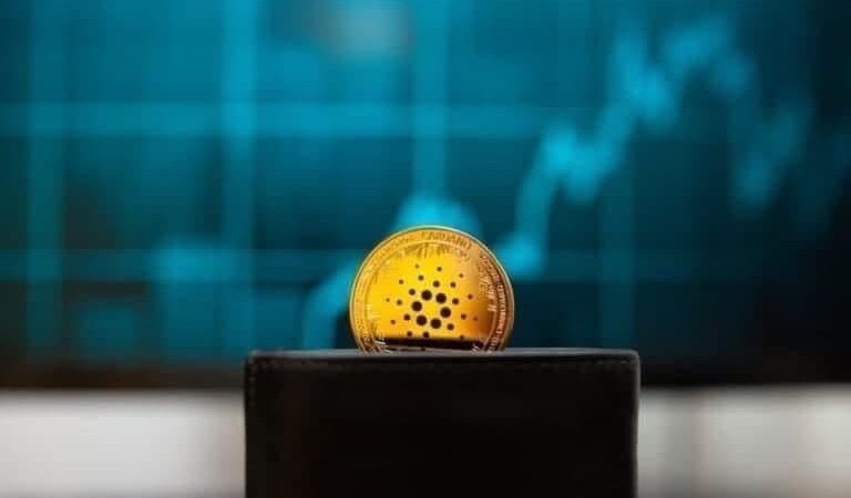 Cardano adds over 70,000 smart contracts in 2024