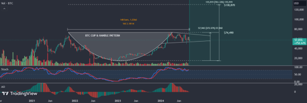 Bitcoin’s Path to $130,000? Analyst Sees ‘Massive’ Bullish Signs After Short-Term Holders Offload $36 Billion