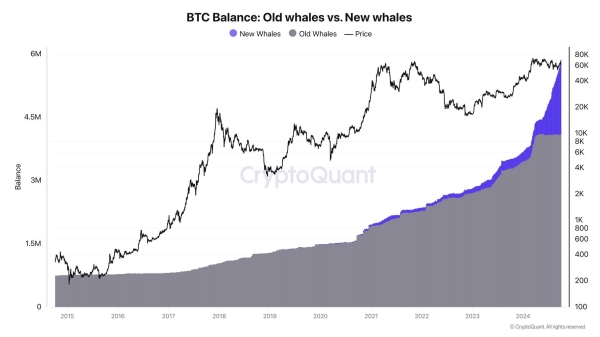 BTC Balance chart