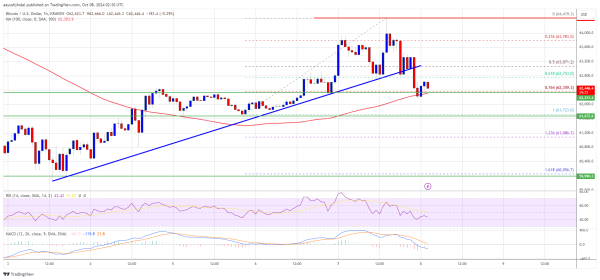 Bitcoin Price Pulls Back: Can It Recover After Correcting Gains?