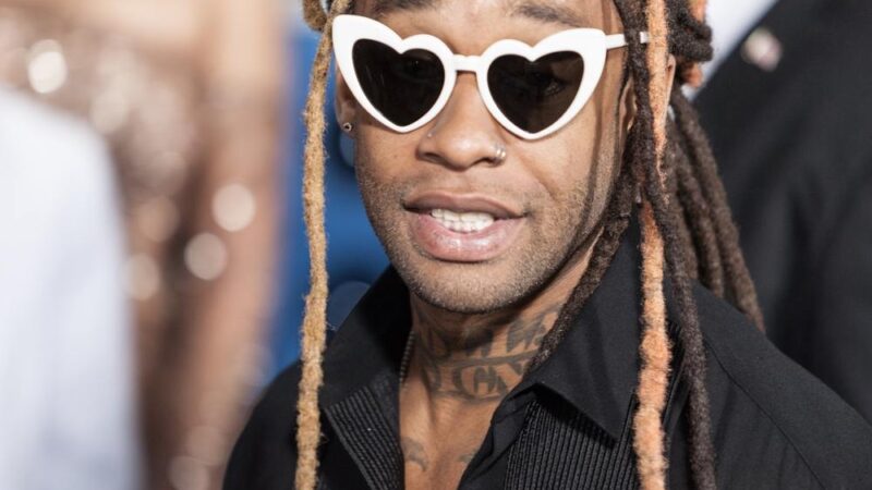 Rapper Ty Dolla $ign lost $500,000 worth of this meme coin