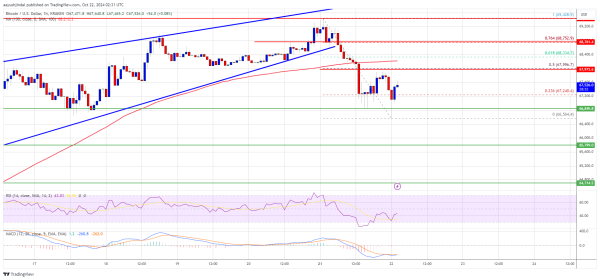 Bitcoin Price Corrects Some Gains: A Pause Before the Next Move?