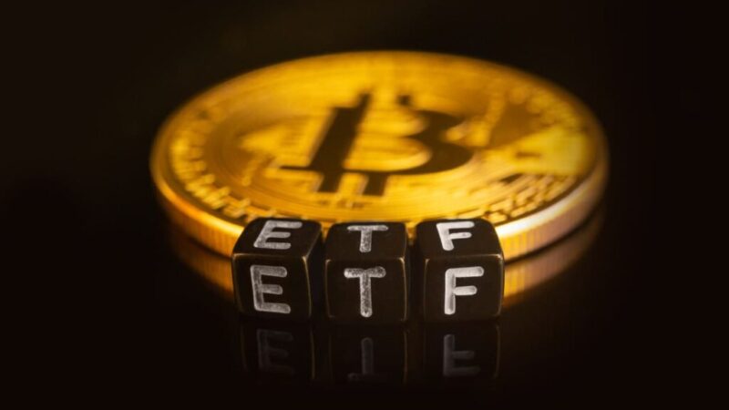 If I could Invest $1,000 in any Bitcoin ETF, it would be this one