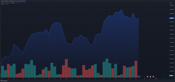 Whales Hit All-Time High Bitcoin Holdings At 670,000 – What Does This Mean For BTC?