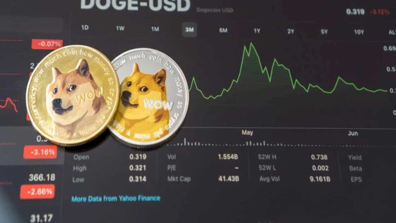 Dogecoin bull run has ‘just started,’ according to analyst