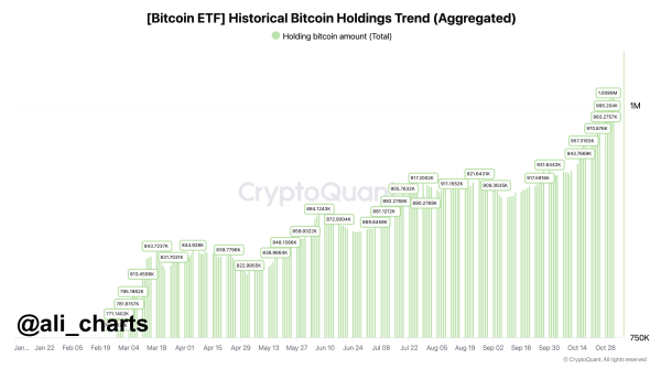 Bitcoin ETFs Surpass 1 Million BTC Holdings In Less Than A Year Since Launch – Details Inside