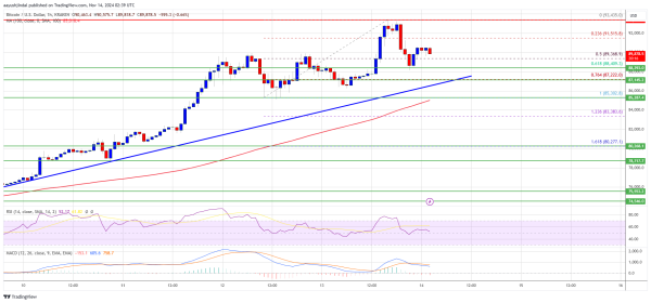 Bitcoin Price Steadies at $90K: Is Another Rally in Sight?