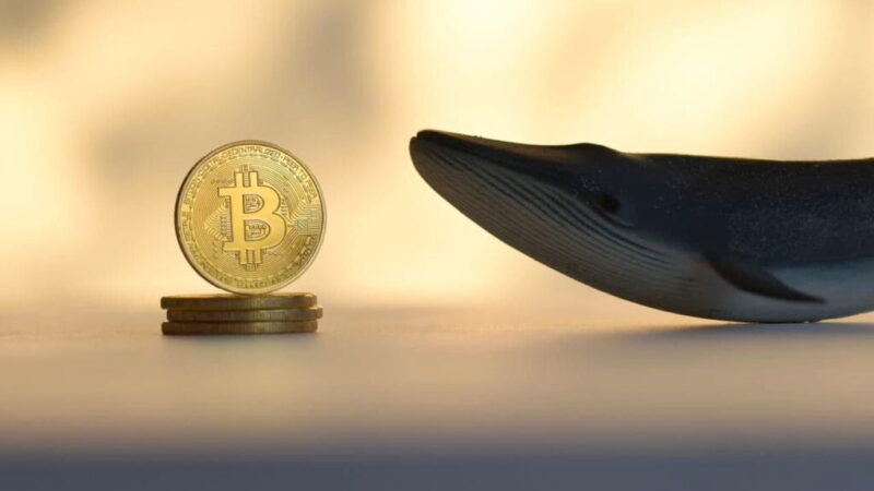 Mysterious Bitcoin whale from Satoshi Age moves again to dump 2,000 BTC ($180M)