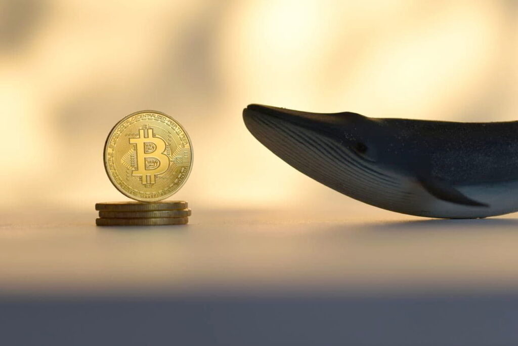 Mysterious Bitcoin whale from Satoshi Age moves again to dump 2,000 BTC ($180M)