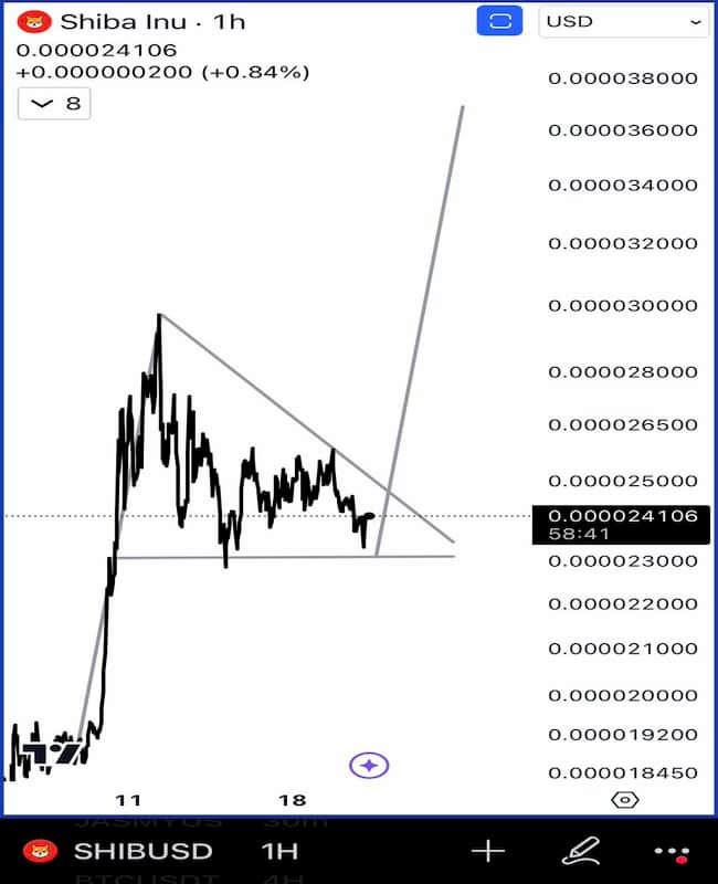 SHIB bull flag chart pattern. Source: Ali Martinez