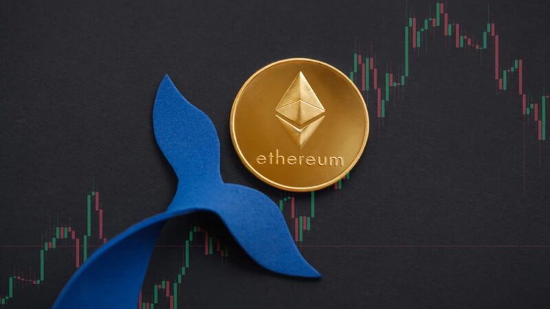 Ethereum whale turns $2.4M into $1.34B in 8 years, starts selling ETH