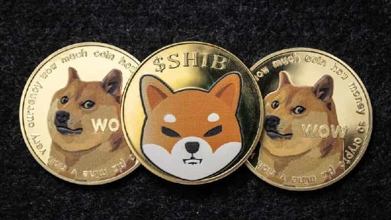 DOGE or SHIB? We asked ChatGPT-4o which is a better buy for 2025