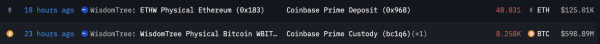 $600 Million Bitcoin Transfer Stuns Major US Exchange Coinbase