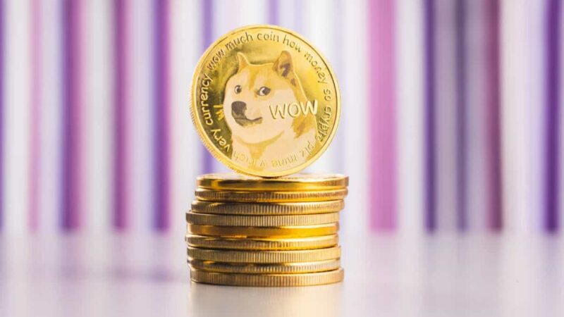 DOGE hints at 85% price rally as whale accumulation hits all-time highs