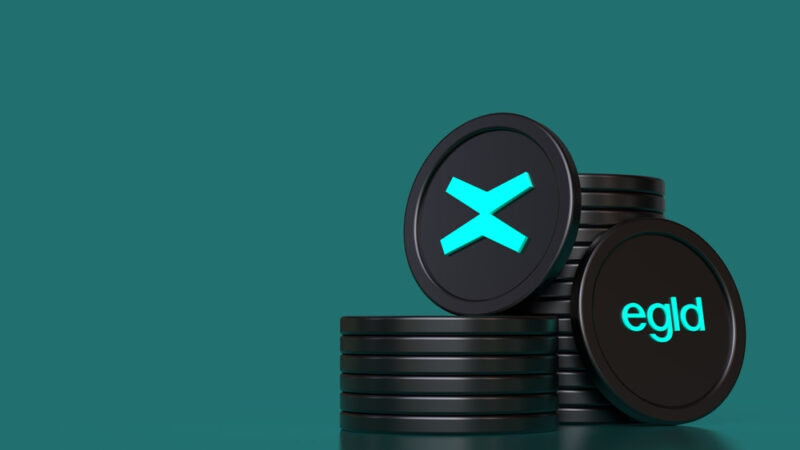 AI predicts MultiversX (EGLD) price for year-end