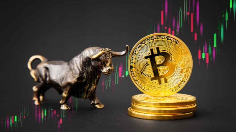 Crypto expert reveals final Bitcoin high of this bull market