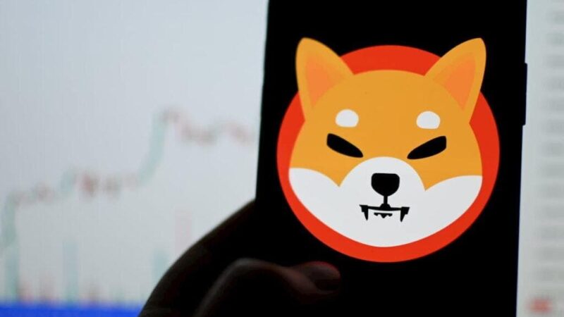 AI predicts Shiba Inu (SHIB) price for 2025 