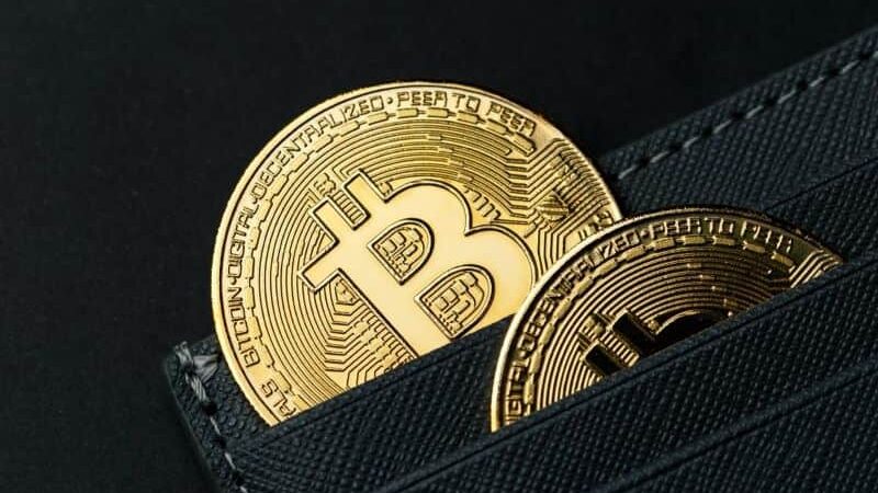 These are Bitcoin’s top holders as of December 2024