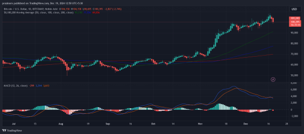 Will Bitcoin Price Crash to $40,000?