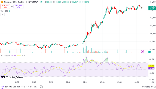 Bitcoin hits $103,000