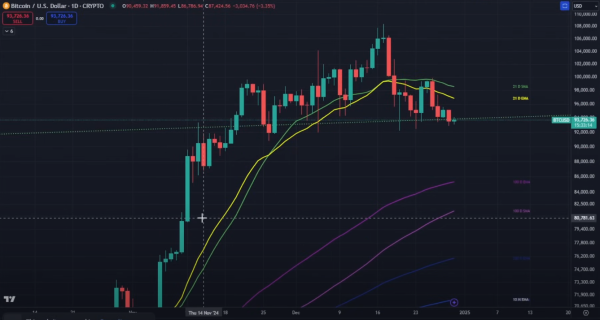 Major Bitcoin Collapse Incoming Over the Next Two Weeks, Says Trader Nicholas Merten – Here Are His Targets