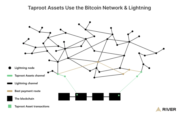 Tether is back on Bitcoin – Lightning Dominance Is Just Starting