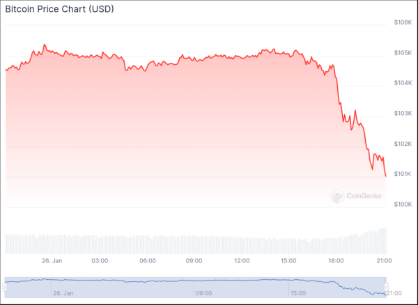 Bitcoin plummets below $102,000: Crypto market faces test of resilience