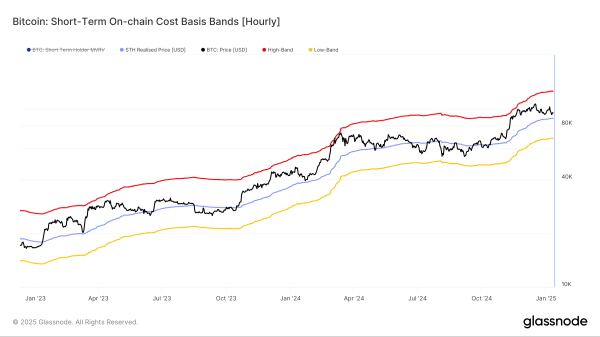 Bitcoin’s Path to $100,000: Waning Short-Term Holder Confidence Signals Reversal