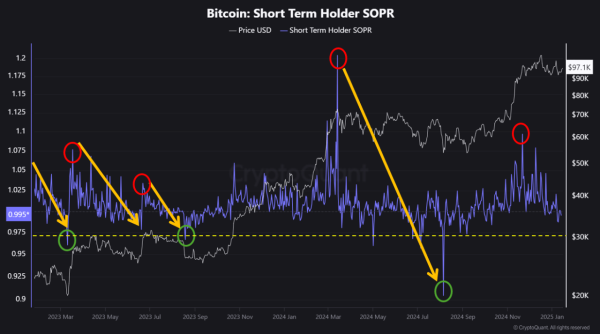 Is Bitcoin’s Upward Cycle Back? Key Insights Into The Latest Recovery