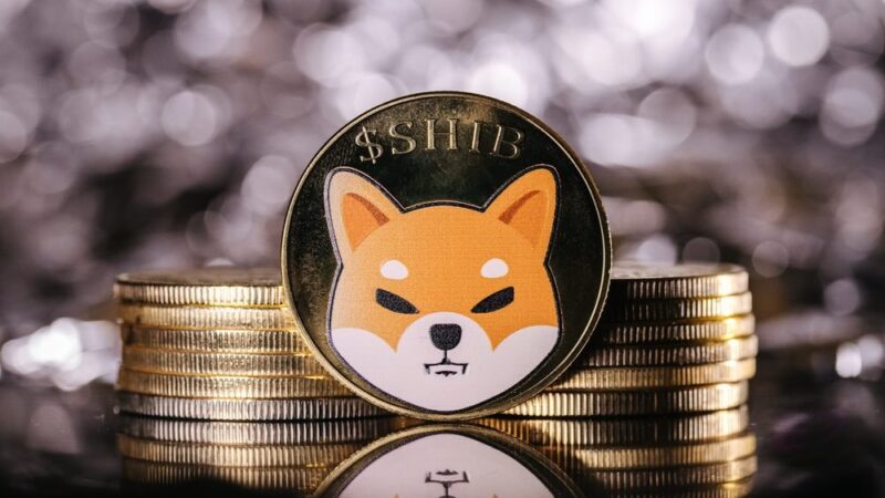 Shiba Inu burn rate surges 600% in a day; What next for SHIB price? 