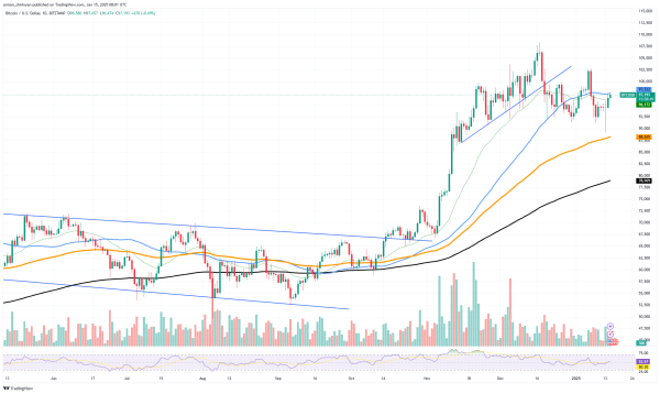 Michael Saylor Reveals How Much Bitcoin Is Worth