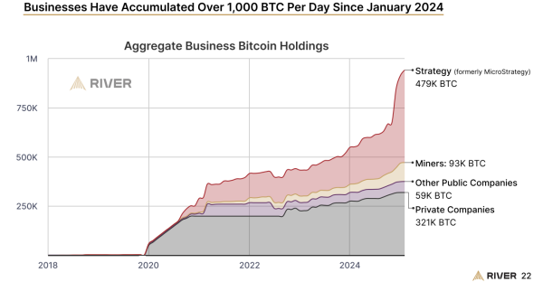 Bitcoin Adoption Rallies as 80% More Public Companies Bought in 2024: Report