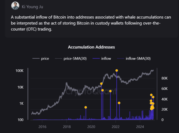 Something Big Coming? Whales Accumulate Bitcoin Like Never Before