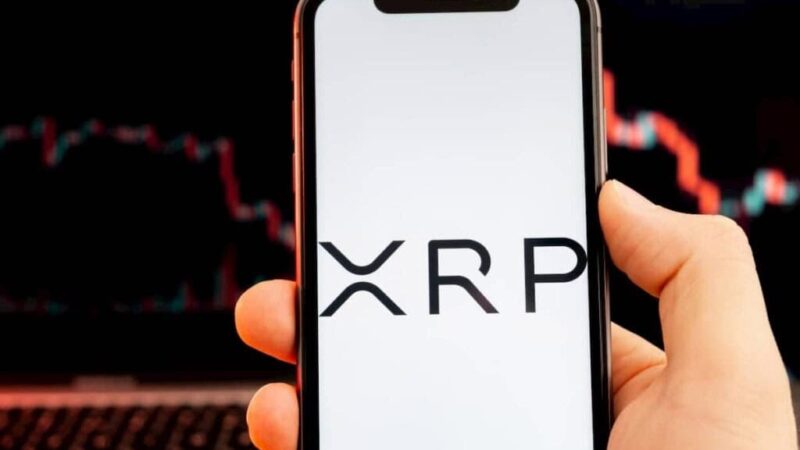 Sell alert! Crypto expert warns XRP headed for massive crash