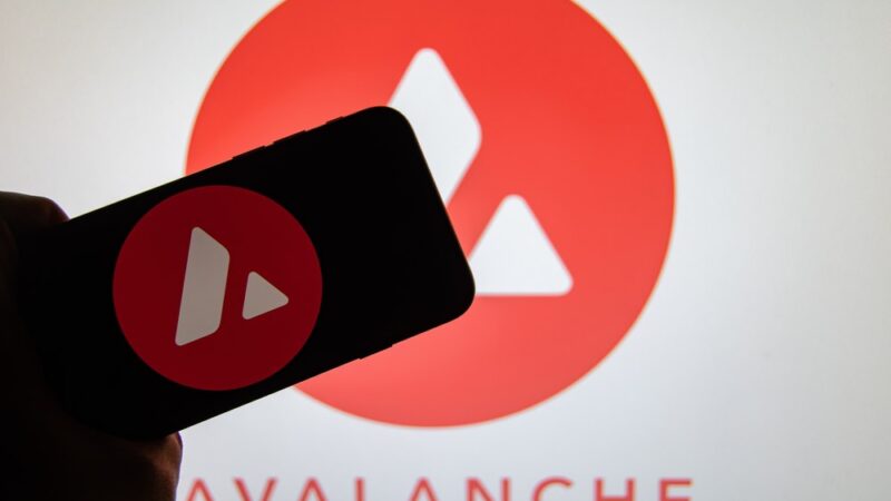 Avalanche Foundation and Rain unveil a new crypto card