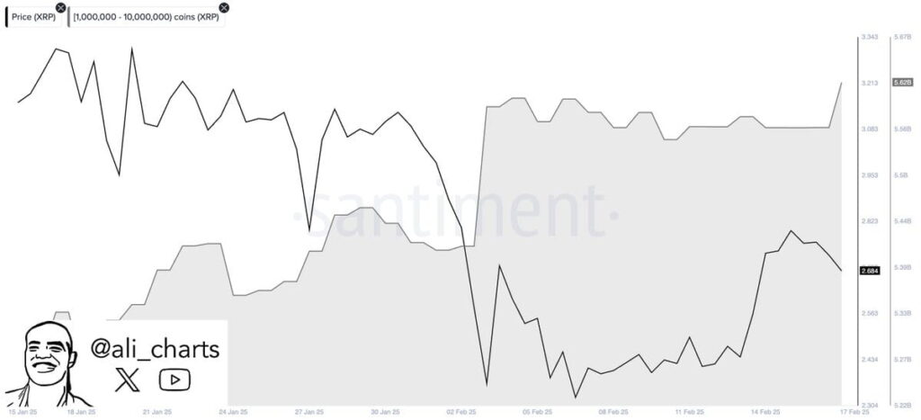 Chart depicting XRP whale acquisitions. Source: Ali Martinez on X